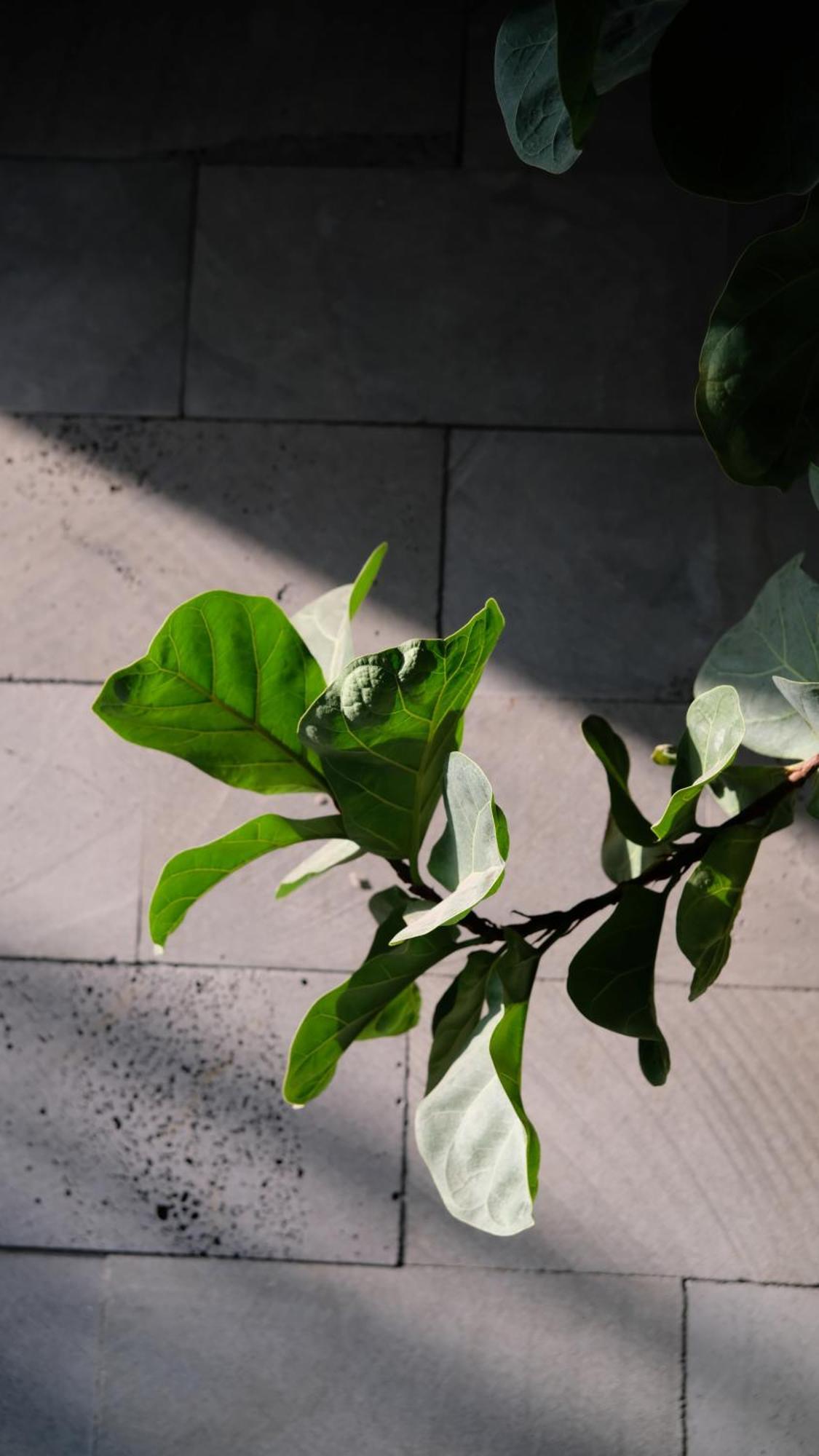 Marilyn Boutique Hotel Nha Trang Exterior foto